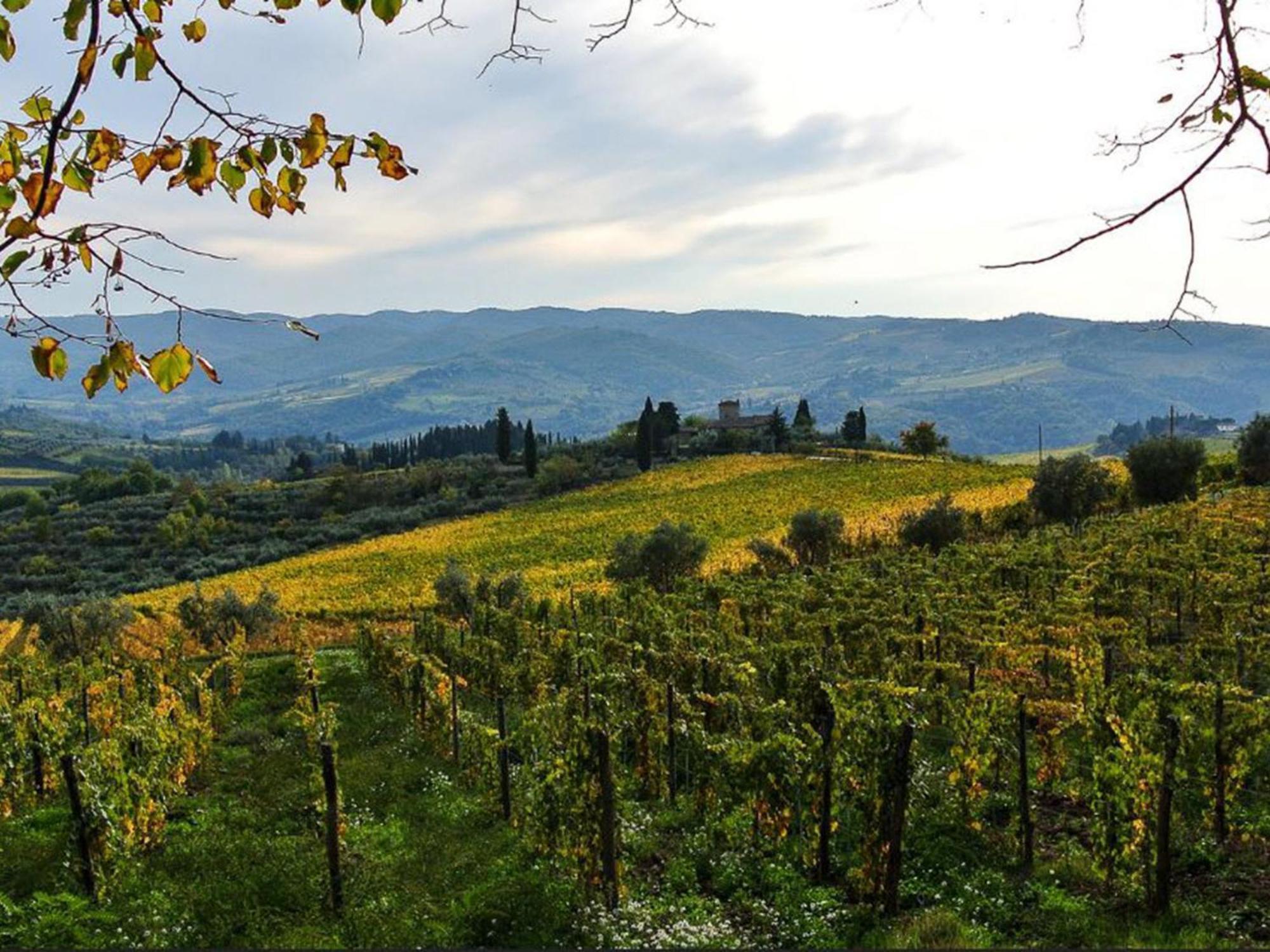 Holiday Home La Torre By Interhome Lucolena in Chianti 外观 照片