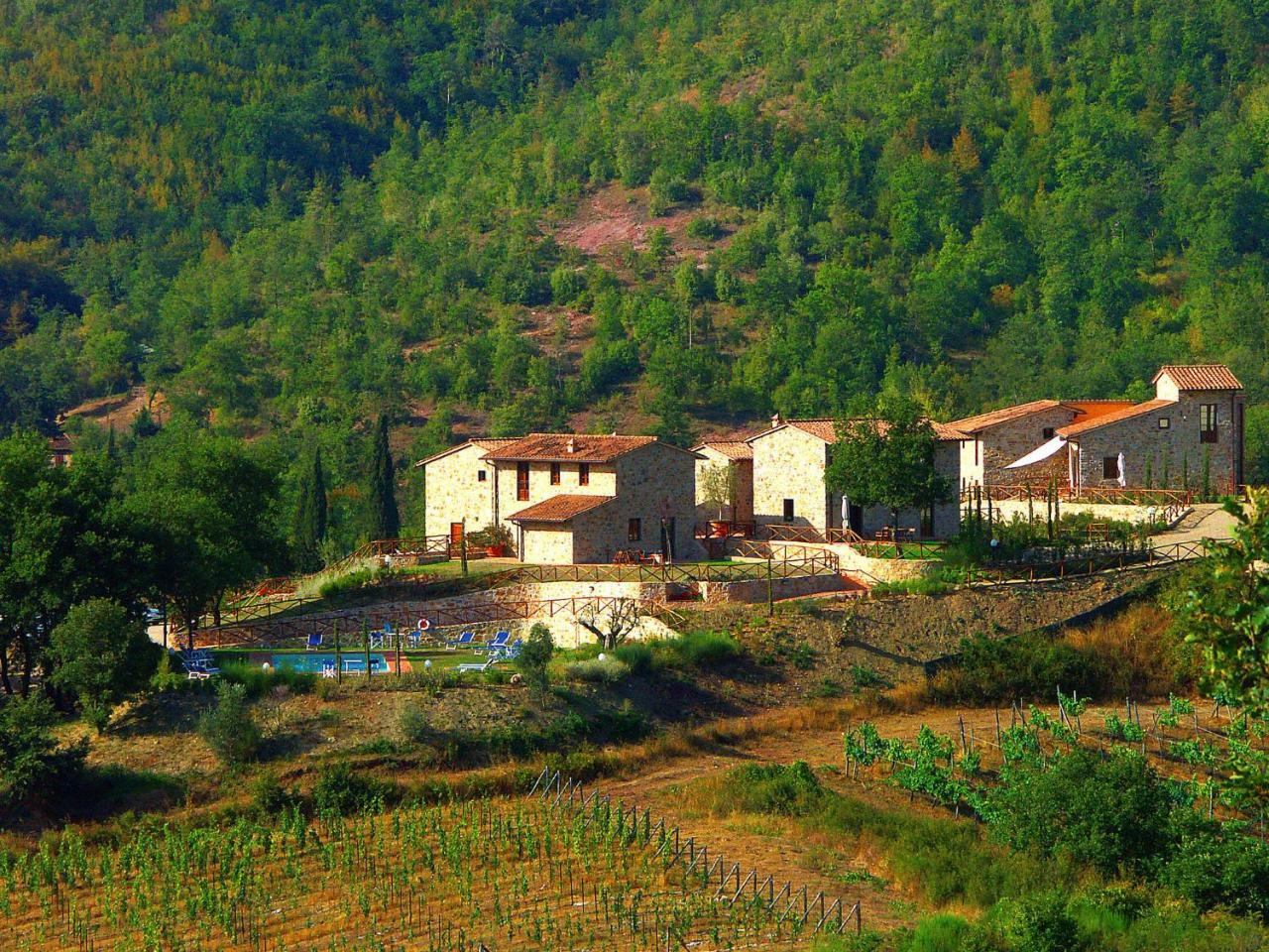 Holiday Home La Torre By Interhome Lucolena in Chianti 外观 照片